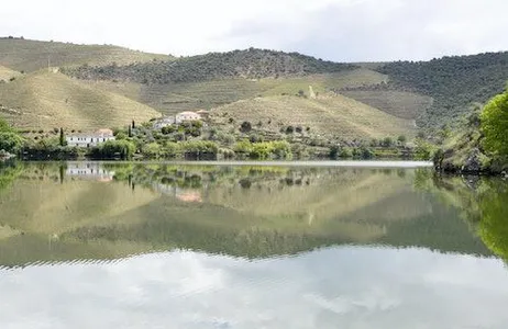 Porto Ticket Douro Valley: Downstream Cruise from Régua to Porto with Lunch