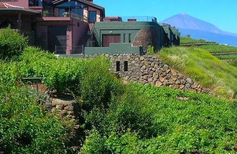 Santa Cruz de Tenerife Ticket Bodegas Monje: visita à vinícola e degustação de vinhos