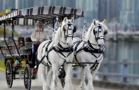 Vancouver Ticket Excursão guiada puxada a cavalo pelo Stanley Park