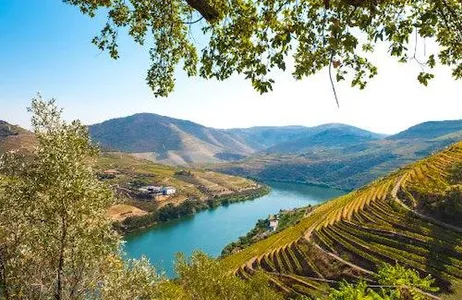 Porto Ticket Vale do Douro: Cruzeiro do Porto ao Pinhão com Pequeno Almoço, Almoço e Prova de Vinhos