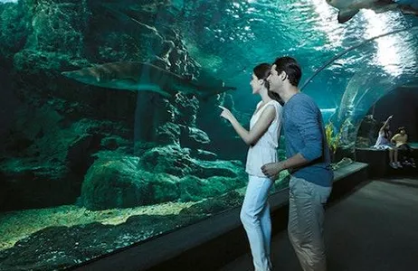 Bangkok Ticket SEA LIFE Bangkok Ocean World e Madame Tussauds