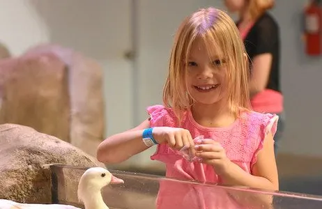 Fort Worth Ticket Sea Quest Fort Worth