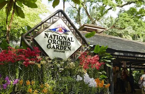 Singapore Ticket Ingressos para o Jardim Nacional das Orquídeas de Cingapura