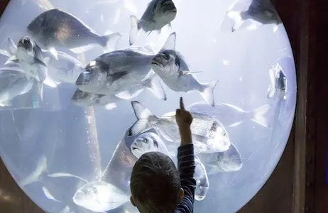 Speyer Ticket SEA LIFE Speyer