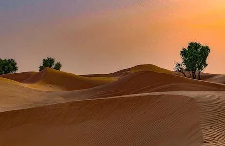 Dubai Ticket Safari no deserto ao nascer do sol: café da manhã com piquenique, passeio pelas dunas suaves e lago Al Qudra