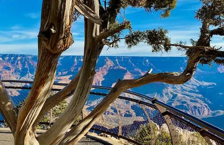 Las Vegas Ticket Parque Nacional do Grand Canyon: viagem de um dia saindo de Las Vegas com almoço