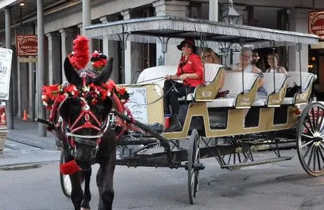 New Orleans Ticket French Quarter em carruagem puxada por mulas: excursão de 60 minutos