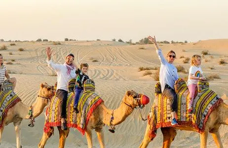 Dubai Ticket Combo: excursão matinal pela cidade de Dubai e safári no deserto de Dubai