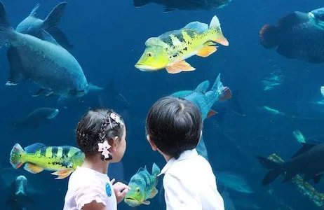 Phuket Ticket Aquaria Phuket