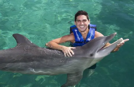 Playa del Carmen Ticket Dolphin Xcaret: nadar com golfinhos