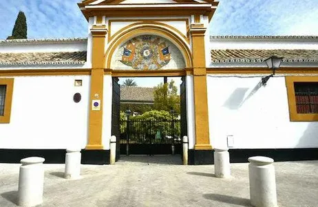 Seville Ticket Palácio Las Dueñas, Casa de Salinas e Hospital de la Caridad