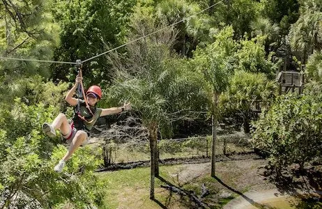 Orlando Ticket Gatorland Orlando: Screamin' Gator Zip Line