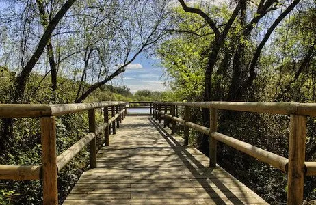 Seville Ticket Parque Nacional de Doñana e El Rocío: excursão de um dia saindo de Sevilha