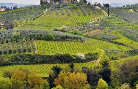 Florence Ticket San Gimignano, Siena e Chianti + Almoço na Piazza del Campo De Florença