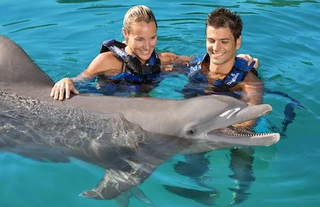 Tulum Ticket Pacote Delphinus Xel-Há: Fast Track