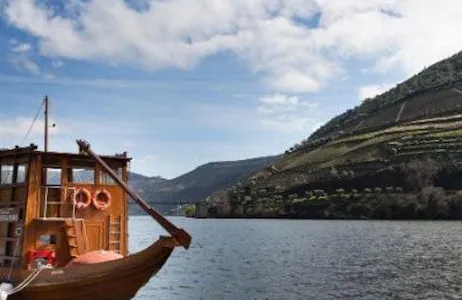 Porto Ticket Vale do Douro: Viagem de um dia saindo do Porto com degustação de vinhos, queijos e azeites