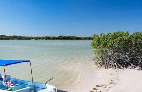 Cancún Ticket De Cancun: Viagem de um dia a Rio Lagartos e Las Coloradas com almoço