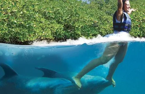 Playa del Carmen Ticket Xcaret Dolphin Tour Plus com Dolphin Swim