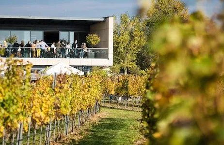 Trausdorf an der Wulka Ticket Experiência Vinícola Esterházy