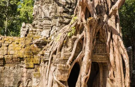 Siem Reap Ticket Ande de bicicleta no nascer do sol de Angkor