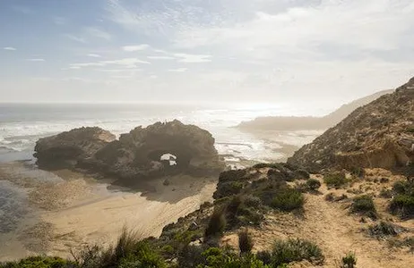 Melbourne Ticket Around the Bay: Excursão turística e de cruzeiro em Melbourne