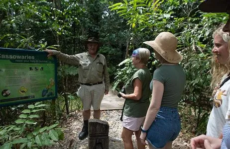 Cairns Ticket Daintree e Cape Tribulation Excursão de dia inteiro