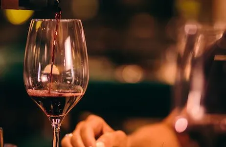 Madrid Ticket Excursão e degustação de vinhos Ribera del Duero saindo de Madri