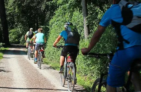 Hamburg Ticket Excursão de bicicleta em Hamburgo: lago exterior de Alster