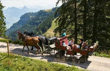 Arth Ticket Ferrovias do Monte Rigi: passe diário e banhos minerais