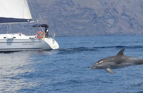 Costa Adeje Ticket Los Gigantes: passeio de barco de 3 horas com ingresso para mergulho com snorkel, bebida e tapas