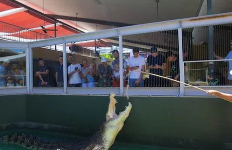 Darwin Ticket Croc N History Combo