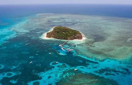 Cairns Ticket Combinação 3 em 1 de Recife e Floresta Tropical