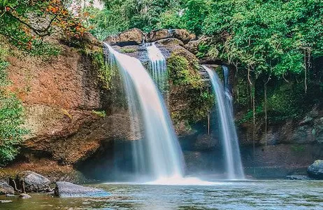 Nakhon Ratchasima Ticket Excursão ao Parque Nacional Khao Yai saindo de Bangkok - dia inteiro