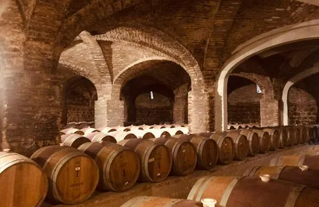 Santiago Tour Vinhedo Santa Rita