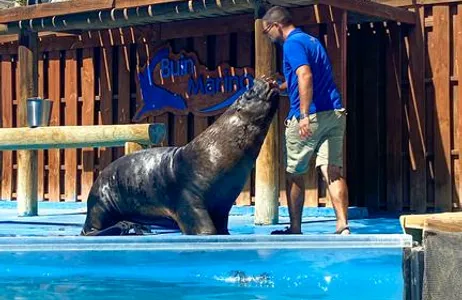 Santiago Tour Parque Zoológico Buin Zoo