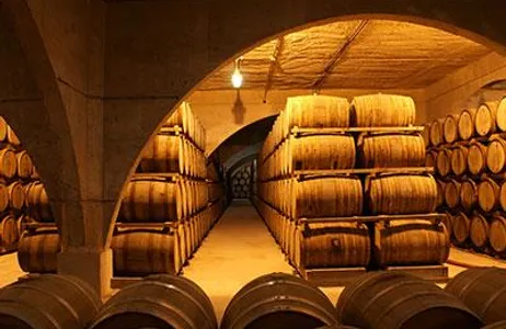 Montevideo Tour Visit to Bodega Bouza + Lunch with wine pairing 