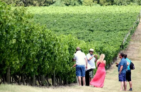 Montevideo Tour Visita Bodega Pizzorno com degustação de vinhos + Almoço