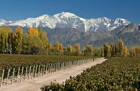 Mendoza Tour Experiência Valle de Uco saindo de Mendoza