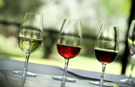 Mendoza Tour Bodega Zuccardi com almoço saindo de Mendoza