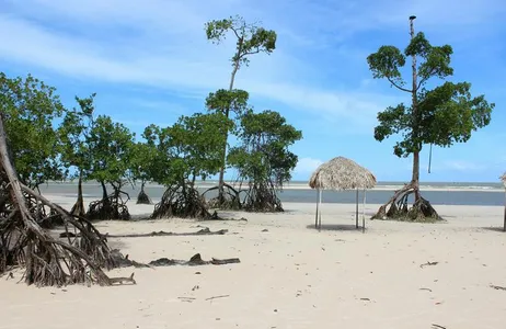 Belém Tour Ilha de Marajó - Sol e Praia