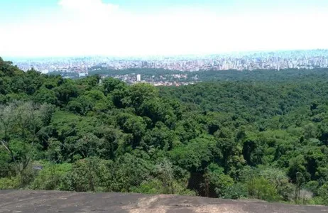 São Paulo Tour Experiência Cantareira ecológica 