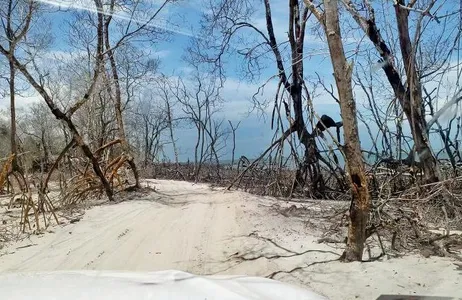 Jericoacoara Tour Buggy ride along the west coast of Jericoacoara Beach