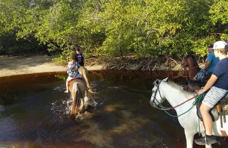 Brasil Tour Passeio a Cavalo