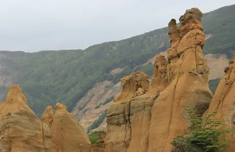 Punta Arenas Tour Reserva Nacional Magalhães