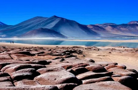 Chile Tour Lagoas Altiplanicas, Salar de Atacama (Laguna Chaxa) com almoço