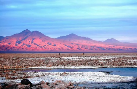 Chile Tour Lagoas Altiplânicas, Mirante de Piedras Rojas, Salar de Atacama (Laguna Chaxa) com almoço  