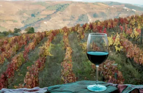 Porto Tour Tour Douro Histórico com almoço saindo de Porto 