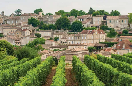 Bordeaux Tour Tour de manhã pela região vinícola de Médoc saindo de Bordeaux