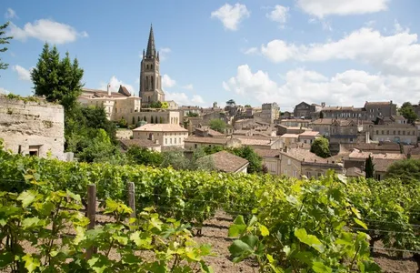 Bordeaux Tour Walking tour gourmet e histórico em Bordeaux