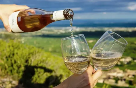 Degustação de vinho no campo de Nice